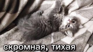 На камеру скромная.
