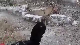 I  am looking for food