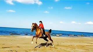 Bir tulporim bor edi Beklar unga zor edi
