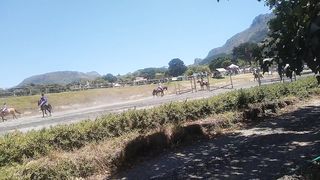 SARDA CapeTown Horse's