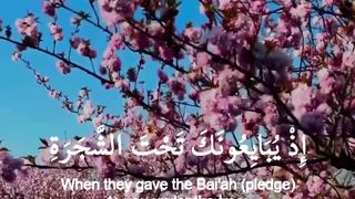 Ayah As-Sakinah ☮️ #quranic_mind