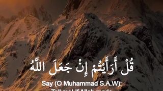 Tell me! #quranic_mind