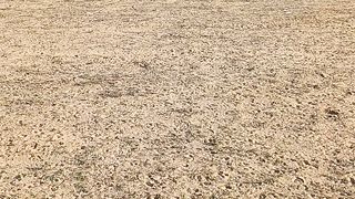 آج کویت کا موسم صاف ہے