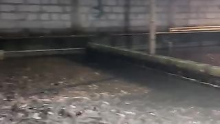 Air kolam seperti kopi good day ???????? tapi lihat responsif nya terhadap pakan