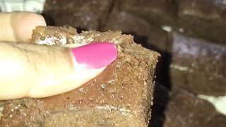 Best easiest brownie