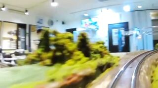 Do you want to take this train