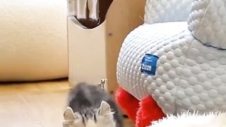 cute little guy