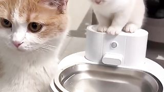 cute little guy