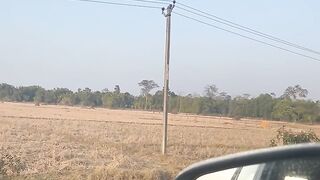 Village