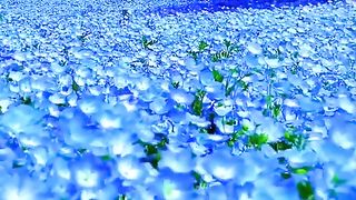 A flower does not think of competing to the flower next to it. It just blooms ― Zen Shin
