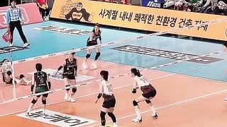 Volly