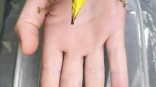 Amazing videos vol 609