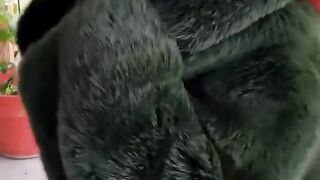 МОДЕЛ