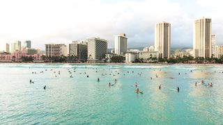 "Hawaiian Delights: Unveiling Nature's Masterpiece"