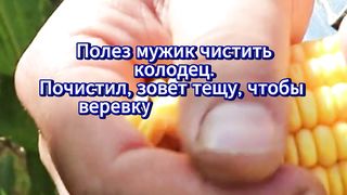 Полез мужик чистить колодец