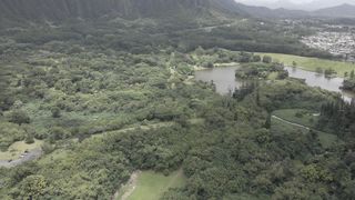 "Hawaiian Splendor Unveiled: Exploring Island Magic"