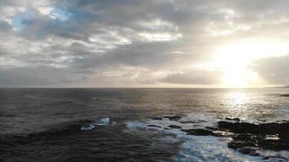 "Hawaiian Delight: Unveiling the Island's Enchantment"