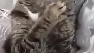 Похмелье