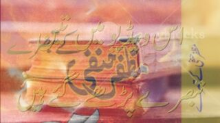 Book Reviews by Muzaffar Hanfi.
