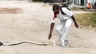 funny videos of Pja