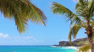 "Hawaiian Marvels Unveiled: Exploring Island Beauty"