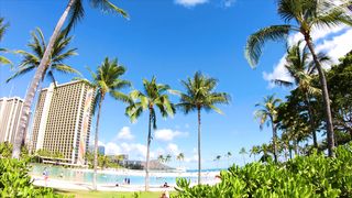 "Hawaiian Essence Unveiled: Discovering Island Magic"