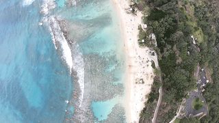 "Hawaiian Delight: Unveiling Island Magic"