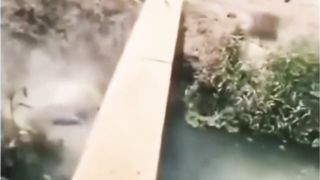 Funny  video