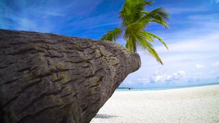 "Hawaiian Enchantment: Unveiling Island Magic"