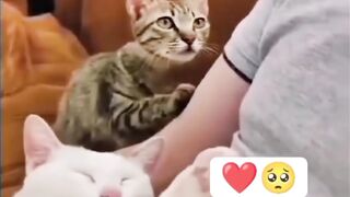 Pure love Makes Pride