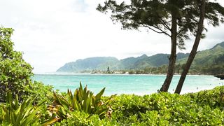 "Hawaiian Treasures Unveiled: Discovering Island Magic"