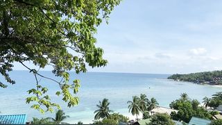 "Hawaiian Delights Unveiled: Discovering Island Magic"