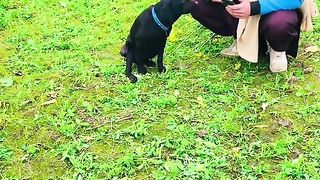 Whatever work you tell this dog, he can do it. Very educated person.