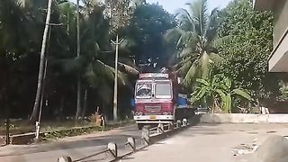 Crazy elephant