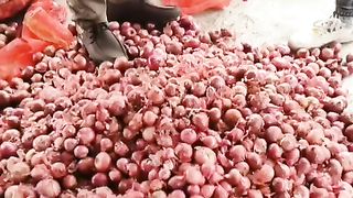 Onion mandi rate 12/02/2024