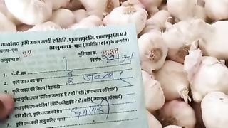 Garlic mandi rate today