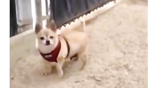 Bro his a snitch ????????