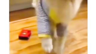 Bro just passed the interview to enter Hollywood ????