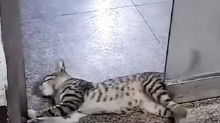So cute