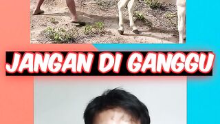JANGAN DI GANGGU