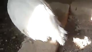 White hen standing on the brick
