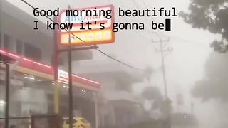 MorningBeautyful