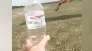 Ridiculous Incident vol 311