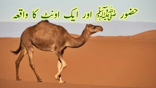 Hazrat Muhammad s.a.w. Aur Oonth Ka Waqia |  Story | Islami Waqiyat