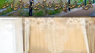 Madel university Islamabad #