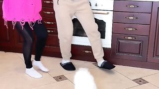 All cats was shocked #shorts by Tsuriki Show