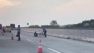 Amazing video