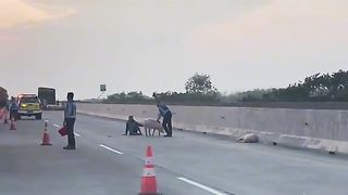 Amazing video