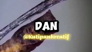 cerita inspiratif_ proses