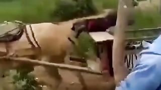 The Great Escape....